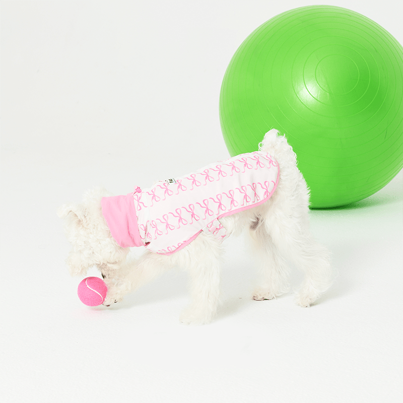 Reversible Cape Jacket Small Dog Coat