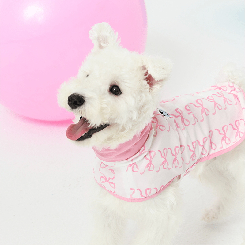 Reversible Cape Jacket Small Dog Coat