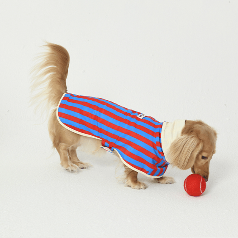 Reversible Small Dog Raincoat Cape