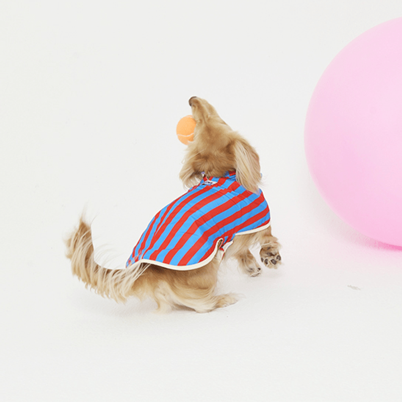 Reversible Small Dog Raincoat Cape