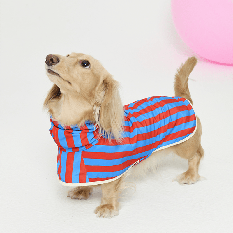 Reversible Small Dog Raincoat Cape