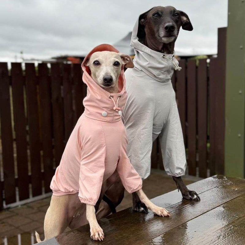 Sunproof Waterproof Whippet Terrier Hooded Jacket