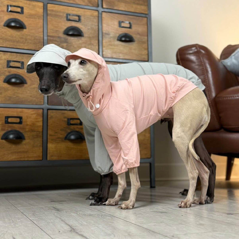 Sunproof Waterproof Whippet Terrier Hooded Jacket
