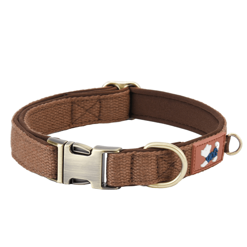 Escape Proof Personalized Dog Collar