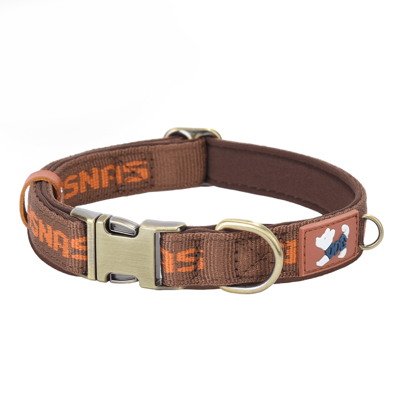 Escape Proof Personalized Dog Collar