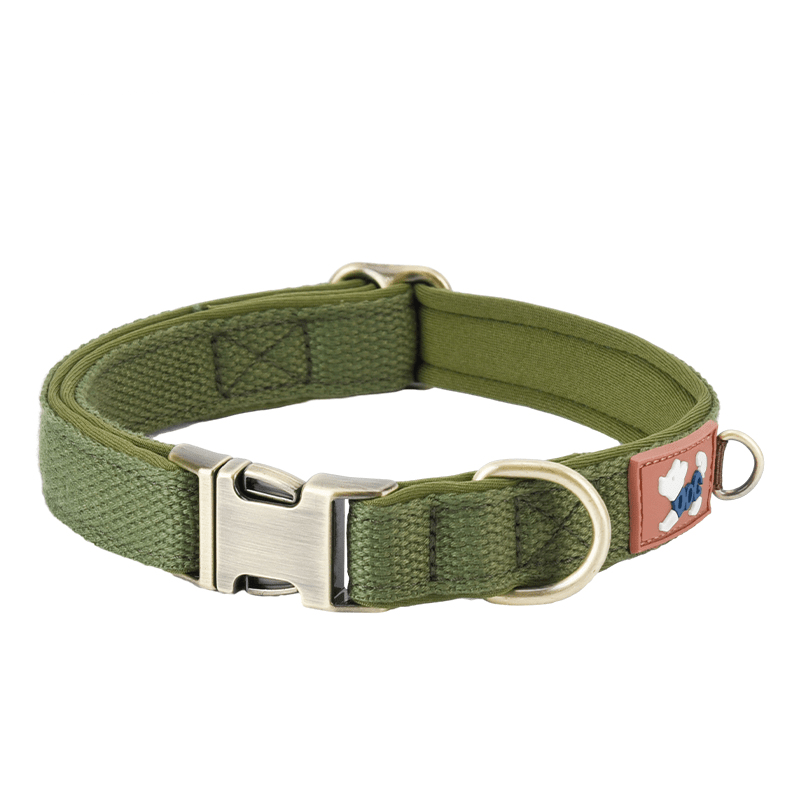 Escape Proof Personalized Dog Collar