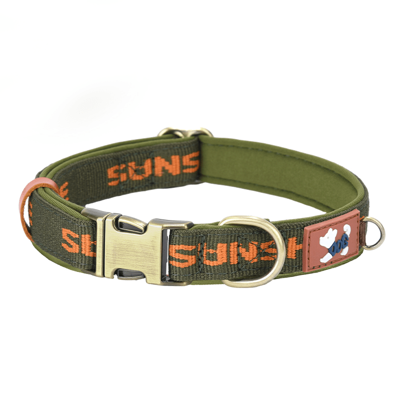 Escape Proof Personalized Dog Collar