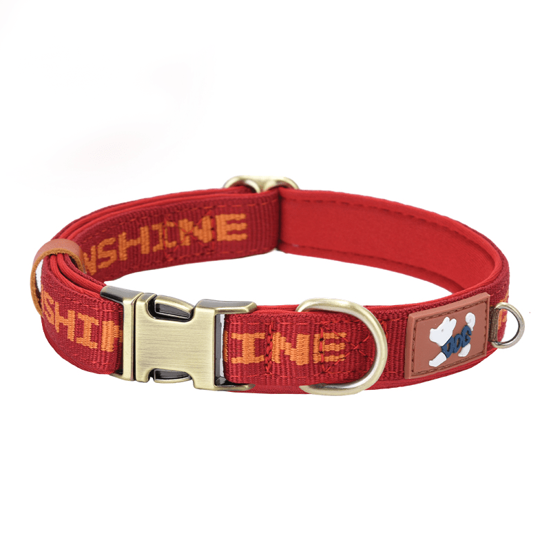 Escape Proof Personalized Dog Collar