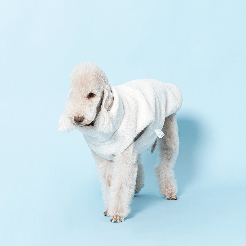 Warm Italian Dog Dog Vest