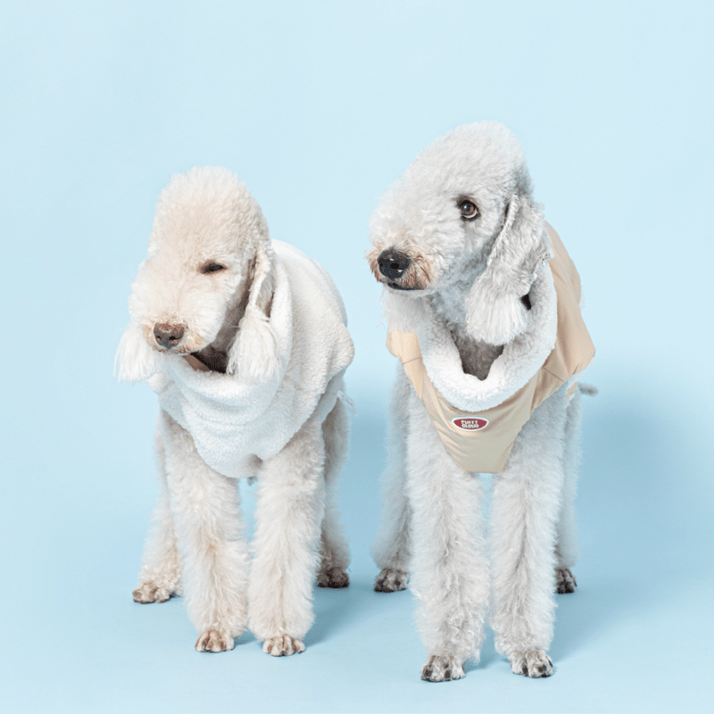 Warm Italian Dog Dog Vest