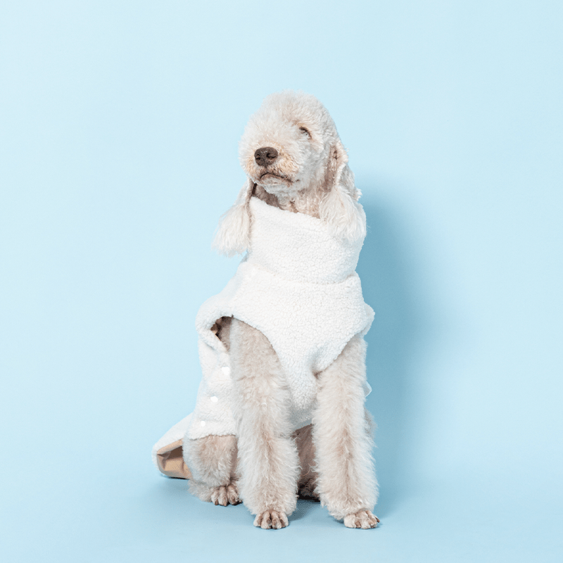 Warm Italian Dog Dog Vest