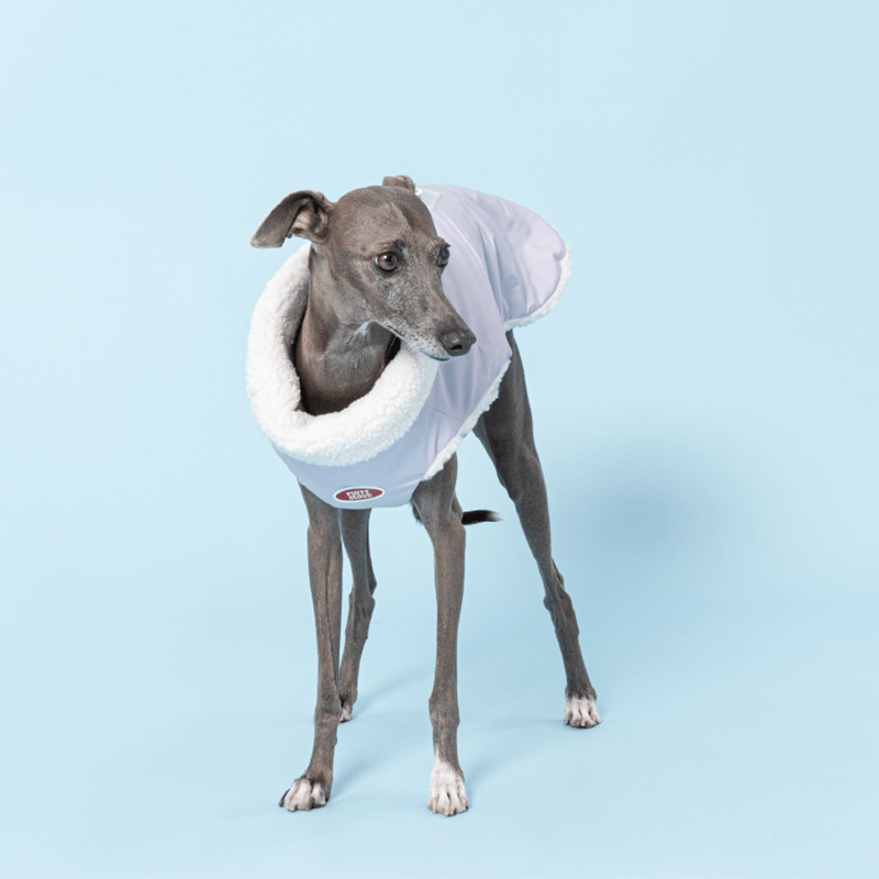 Reversible Padded Greyhound Dog Jacket