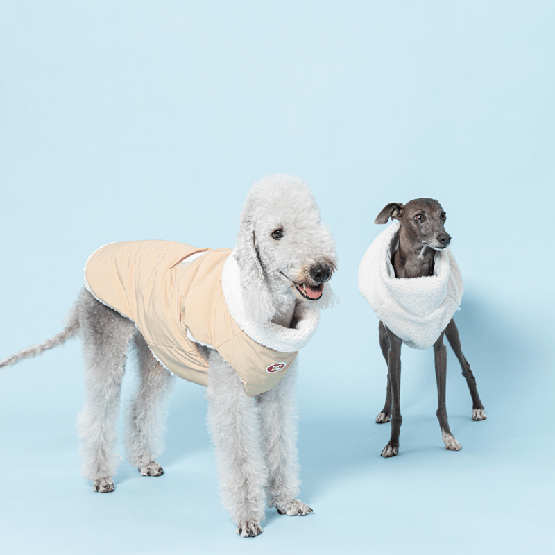 Reversible Padded Greyhound Dog Jacket
