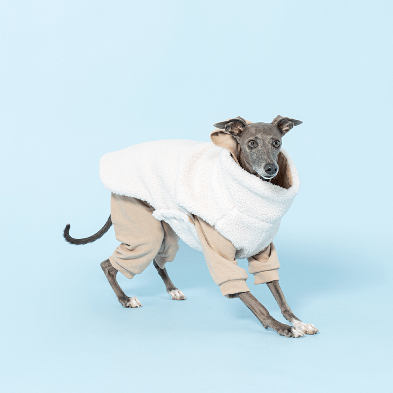 Reversible Padded Greyhound Dog Jacket