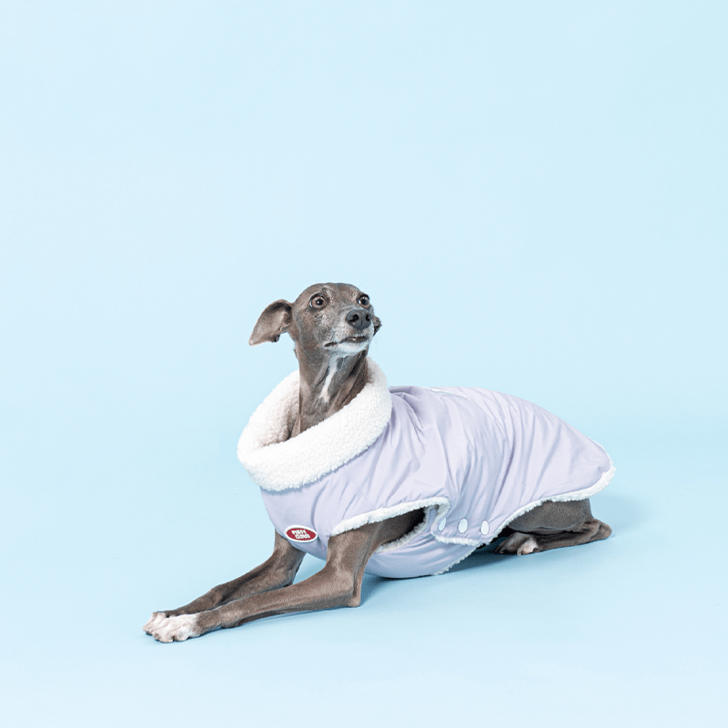 Reversible Padded Greyhound Dog Jacket