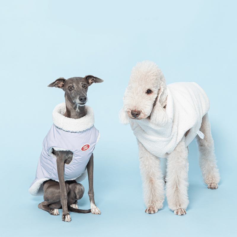 Reversible Padded Greyhound Dog Jacket