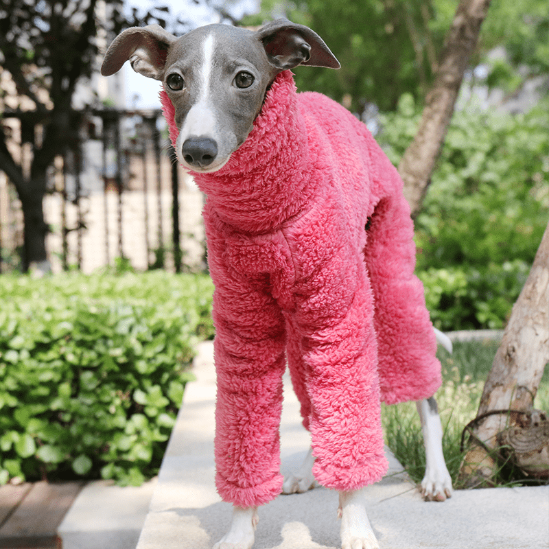 Warm Fleece Italian Greyhound Onesie