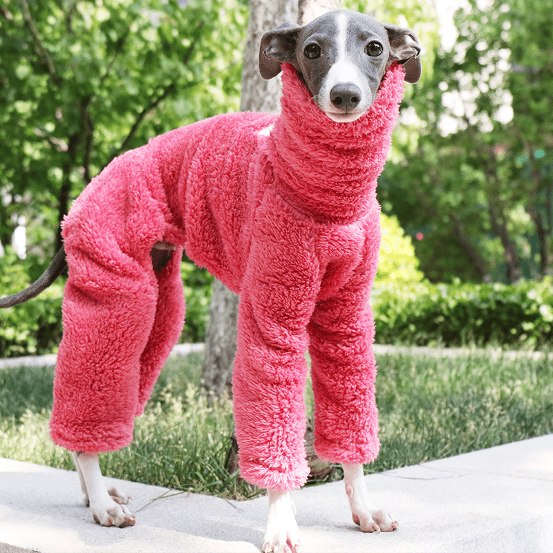 Warm Fleece Italian Greyhound Onesie