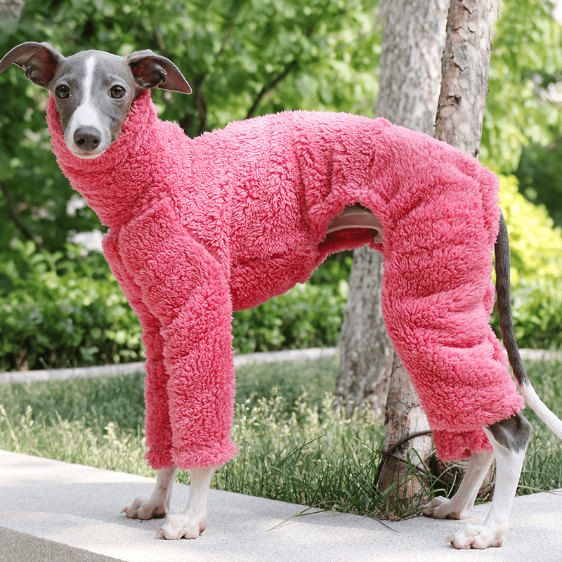 Warm Fleece Italian Greyhound Onesie