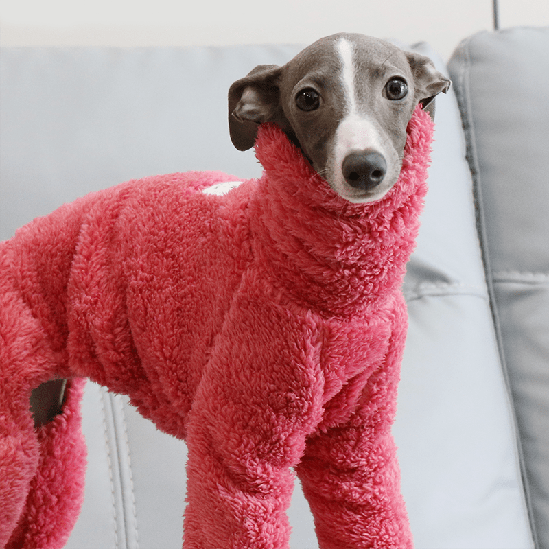 Warm Fleece Italian Greyhound Onesie