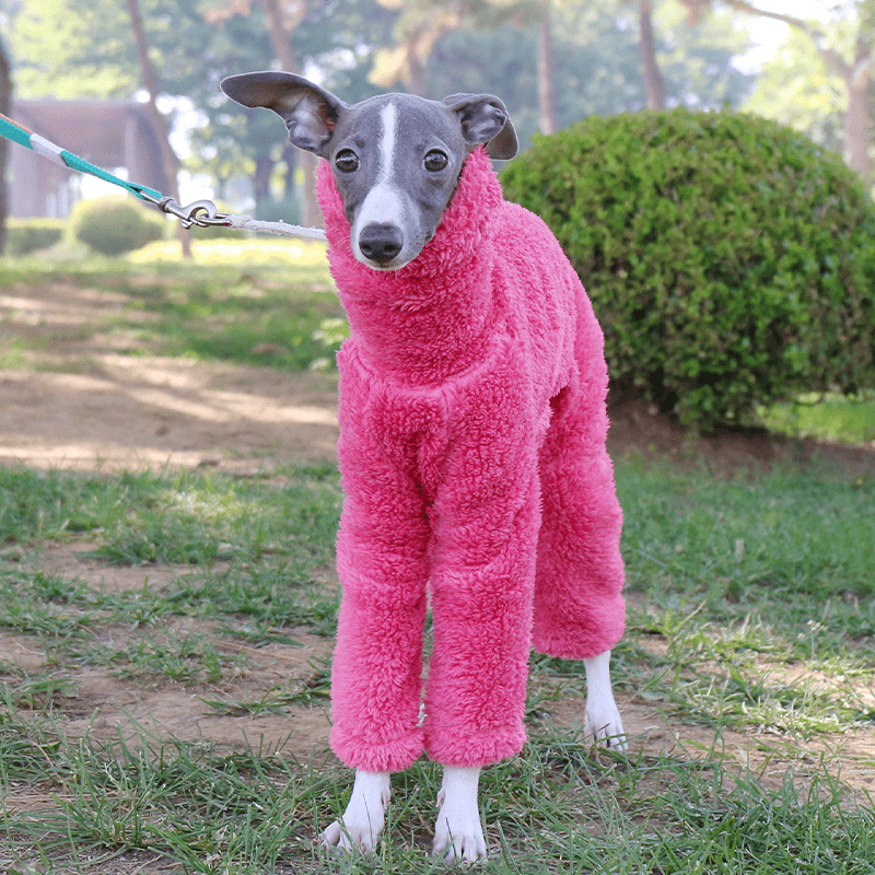 Warm Fleece Italian Greyhound Onesie