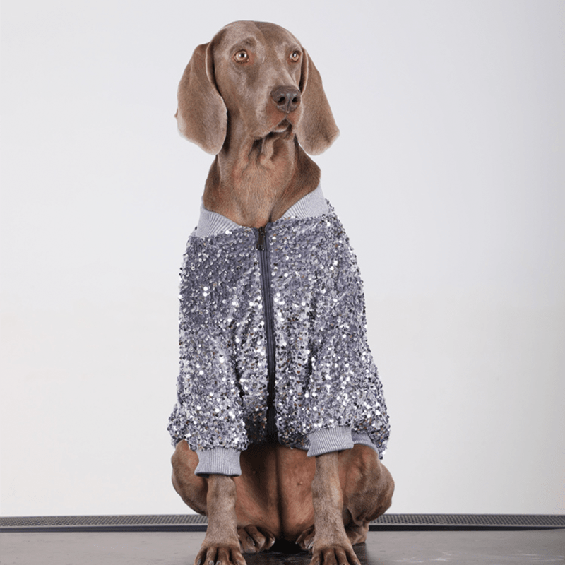 Shiny Party Big Dog Coat