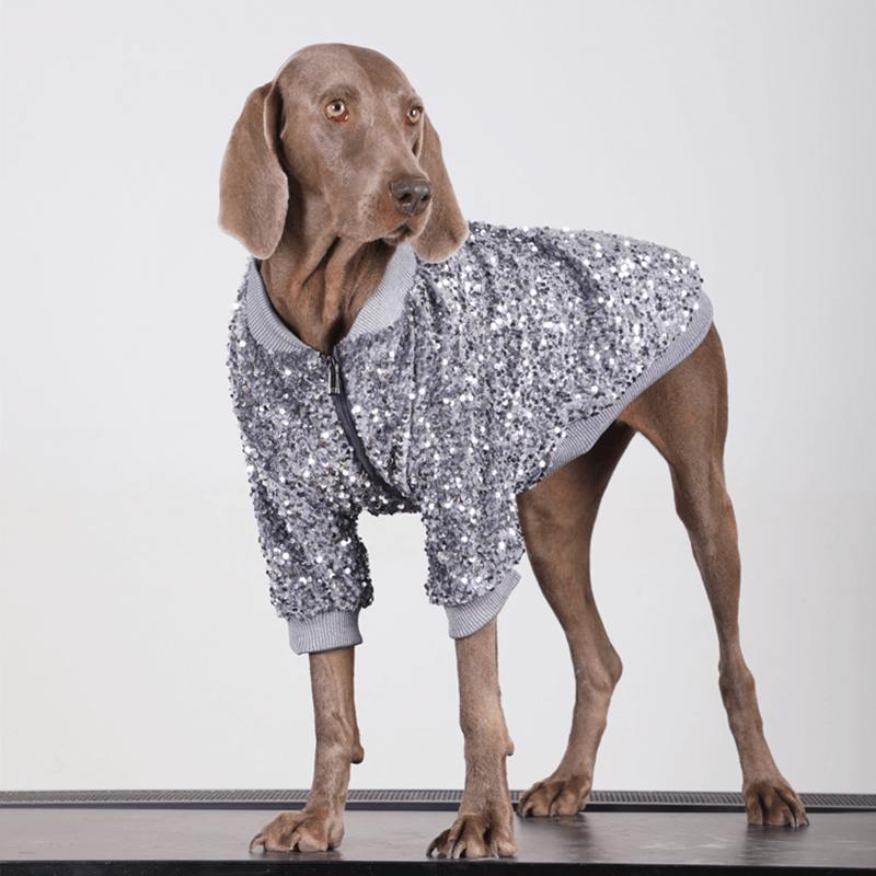 Shiny Party Big Dog Coat