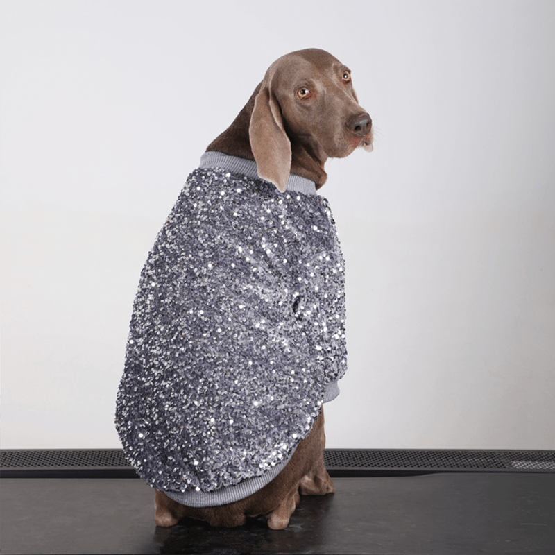 Shiny Party Big Dog Coat