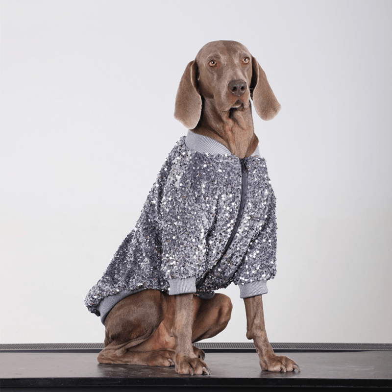 Shiny Party Big Dog Coat