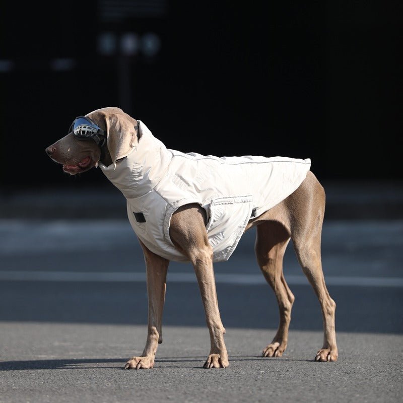 Stylish Warm Big Dog Jacket