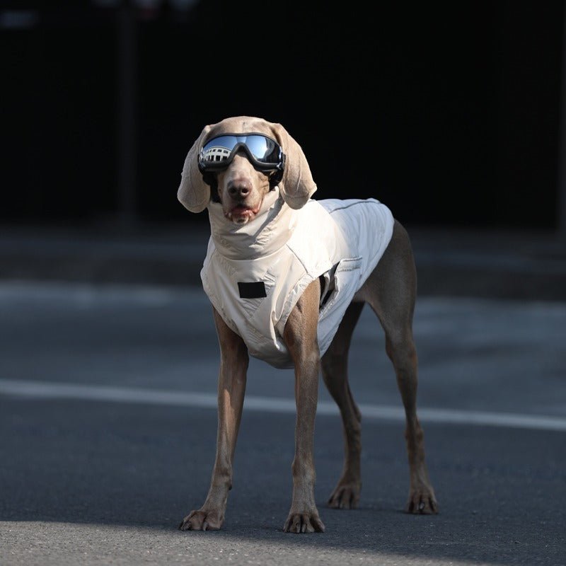 Stylish Warm Big Dog Jacket