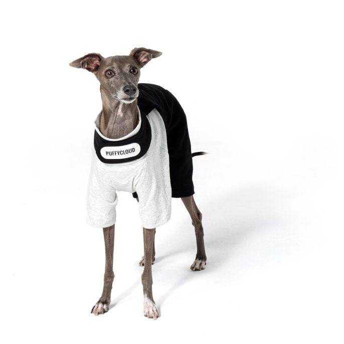 Soft Breathable Cotton Italian Greyhound Dog Pants