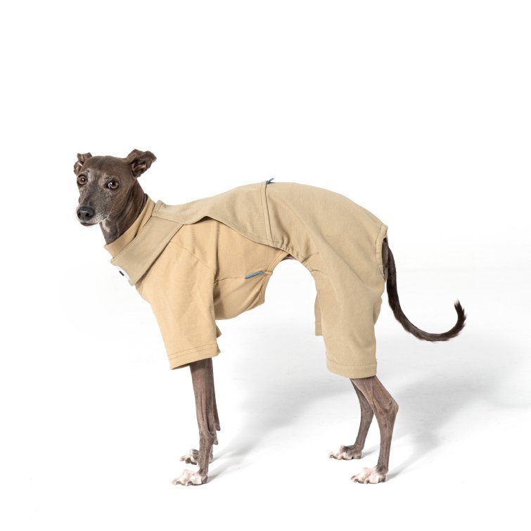 Soft Breathable Cotton Italian Greyhound Dog Pants