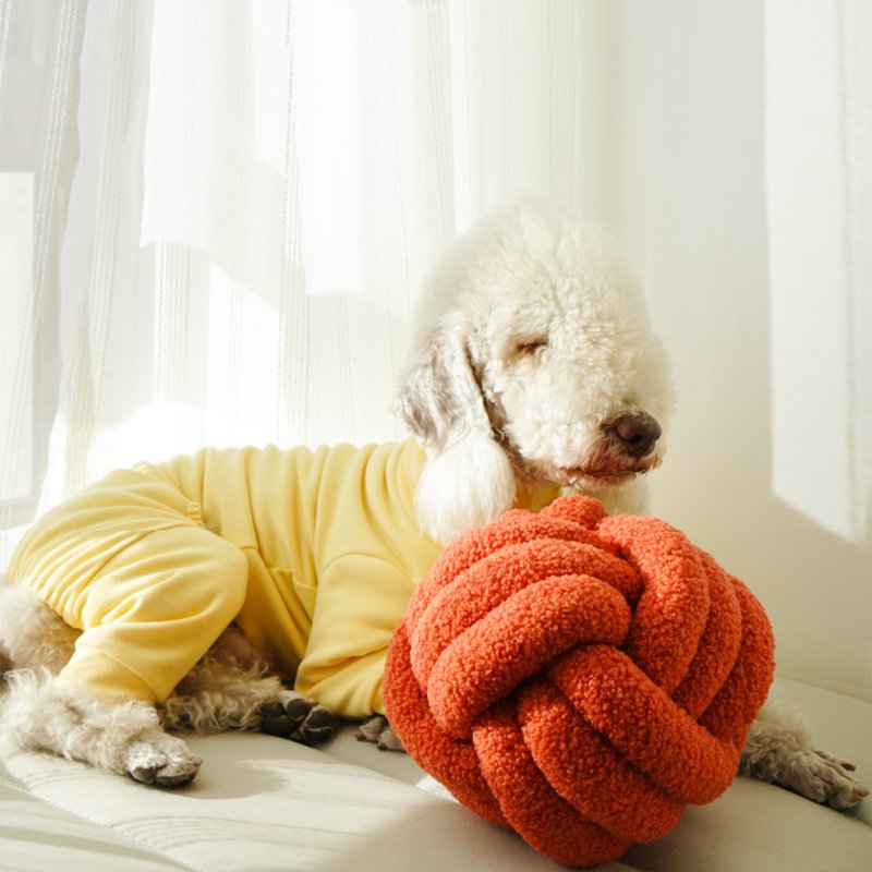 Soft Cotton Bedlington Dog Onesie