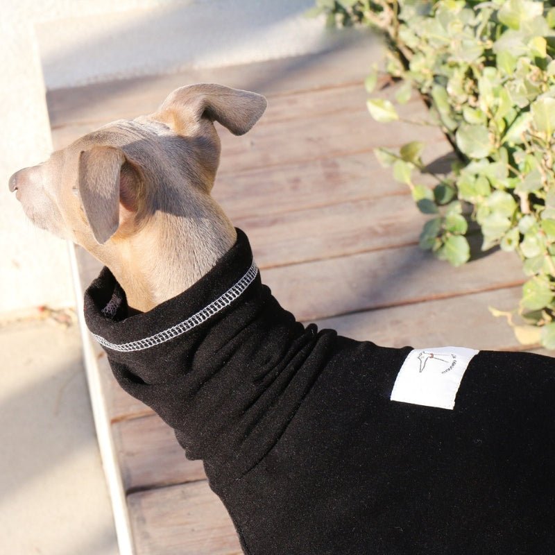 Soft Cotton Greyhound Dog Clothes