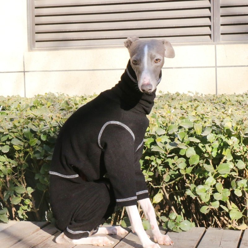 Soft Cotton Greyhound Dog Clothes