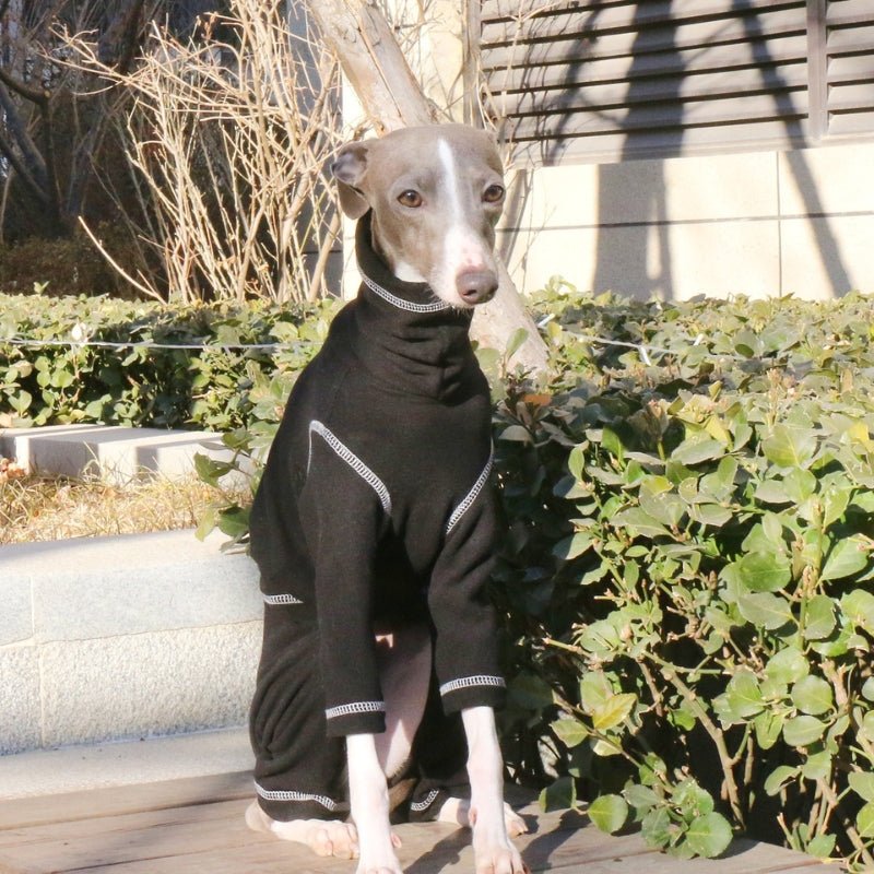 Soft Cotton Greyhound Dog Clothes