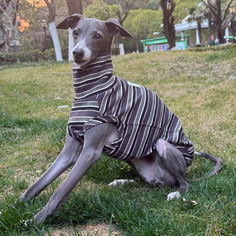 Soft Cotton Italian Greyhound Shirts