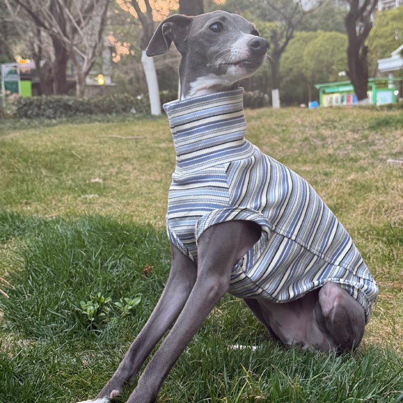 Soft Cotton Italian Greyhound Shirts