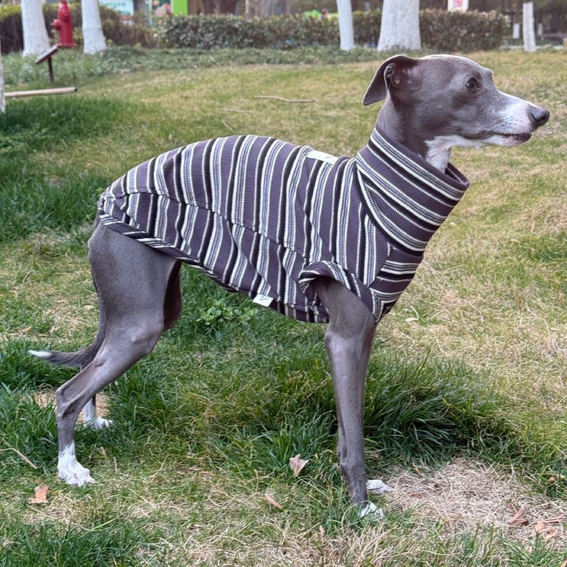 Soft Cotton Italian Greyhound Shirts