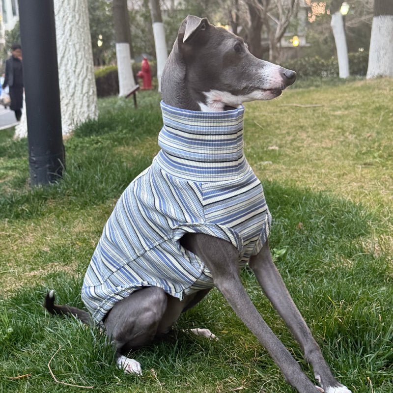 Soft Cotton Italian Greyhound Shirts