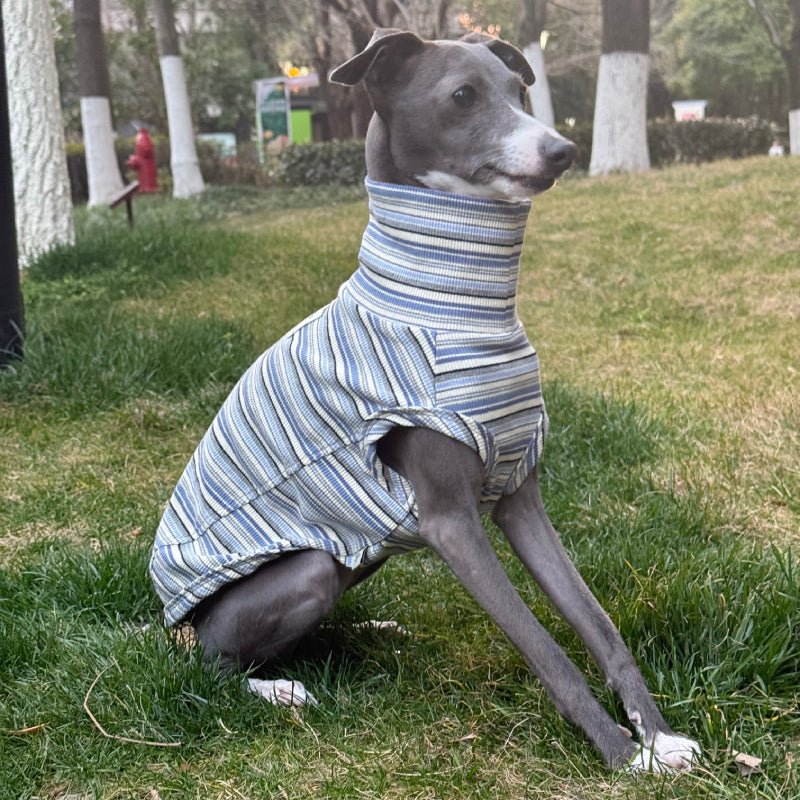 Soft Cotton Italian Greyhound Shirts