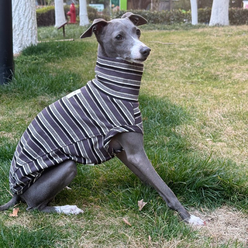 Soft Cotton Italian Greyhound Shirts