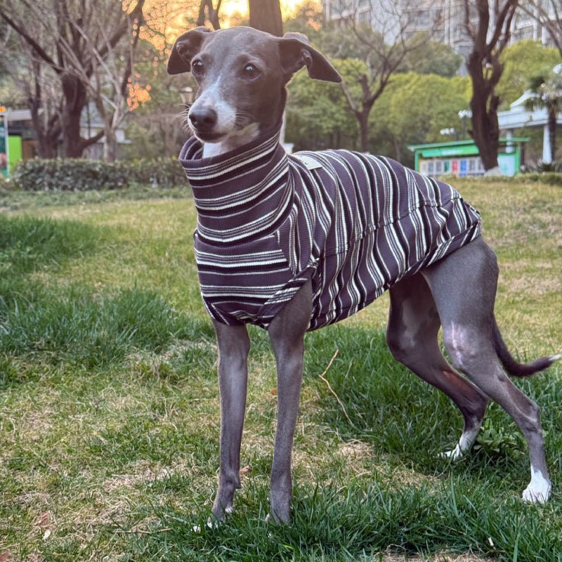 Soft Cotton Italian Greyhound Shirts