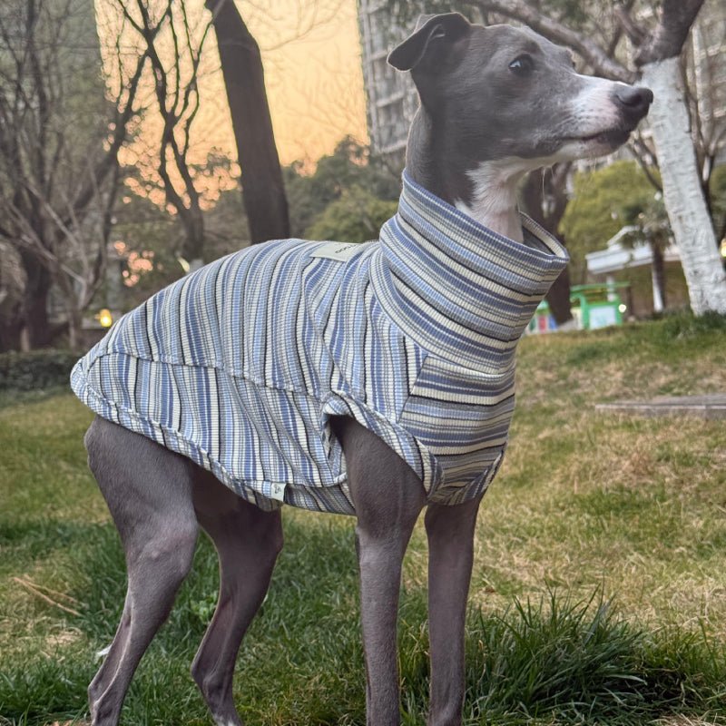 Soft Cotton Italian Greyhound Shirts