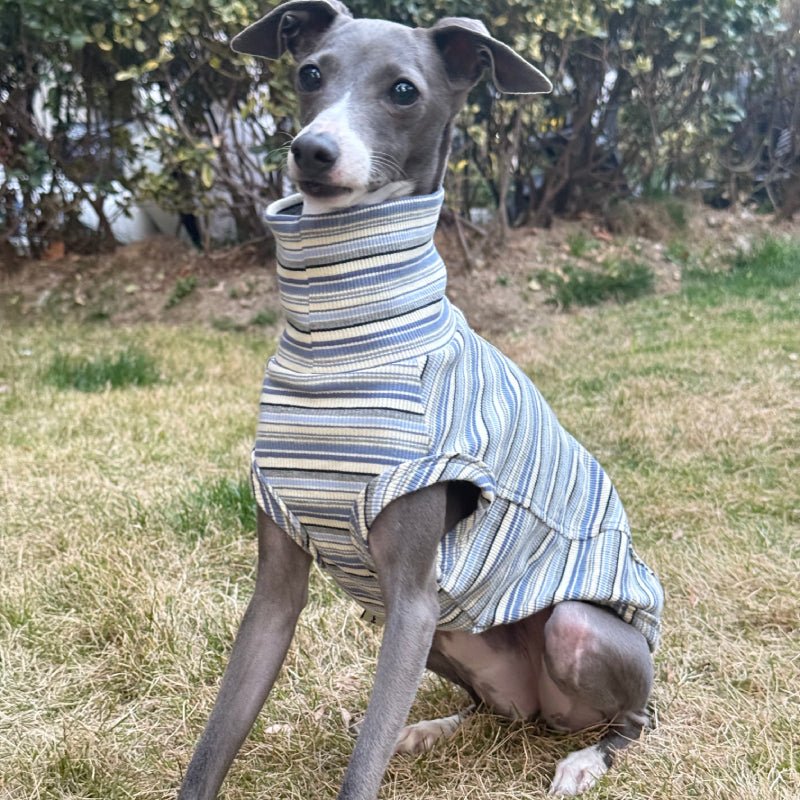 Soft Cotton Italian Greyhound Shirts