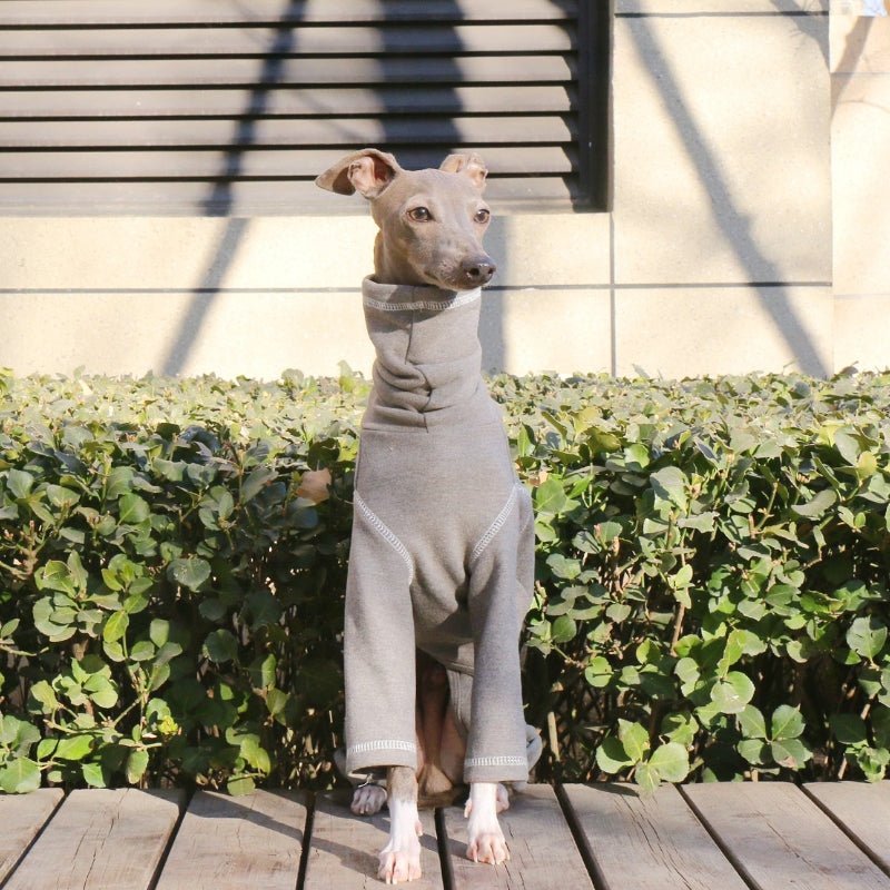 Soft Cotton Italian Greyhound Onesies