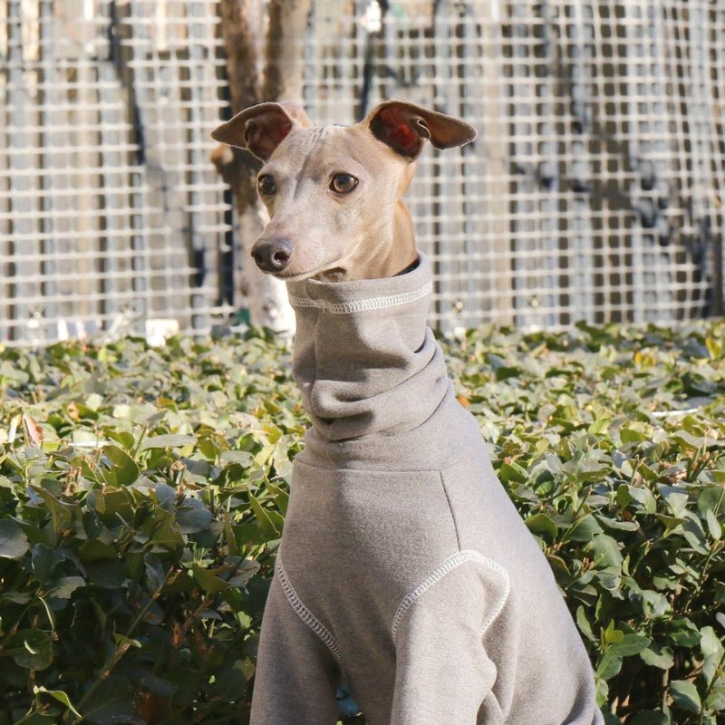 Soft Cotton Italian Greyhound Onesies