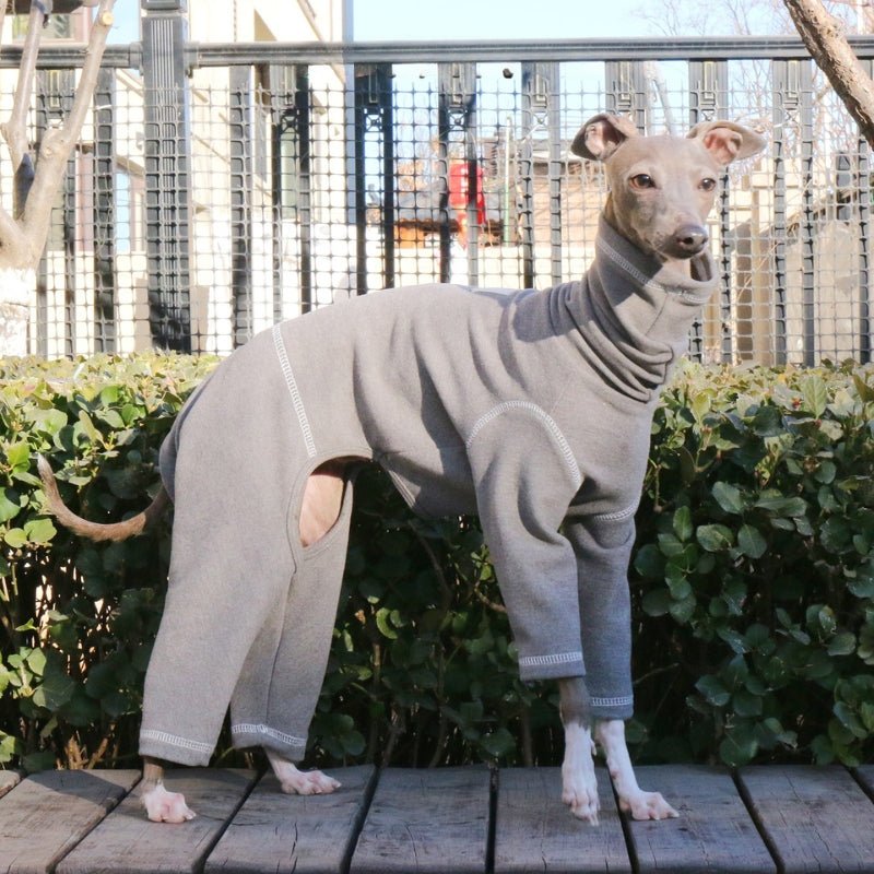 Soft Cotton Italian Greyhound Onesies