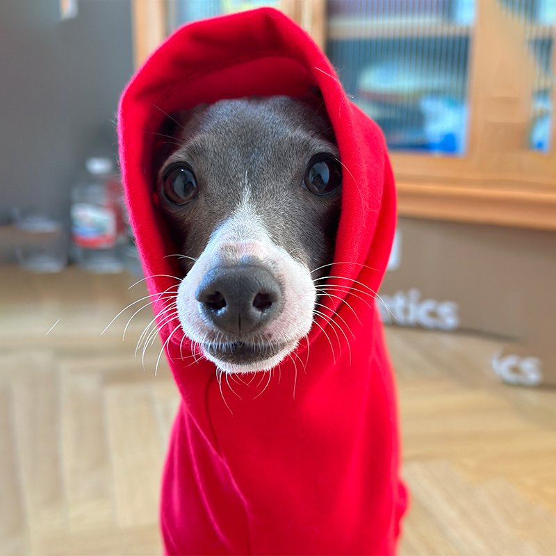 Soft Comfortable Italian Greyhound Whippet Onesie